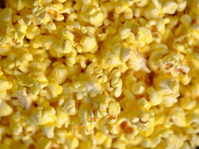 Amish Country Popcorn | 12 Pack Mixed Seasoning Bundle | Old Fashioned, Non-GMO and Gluten Free