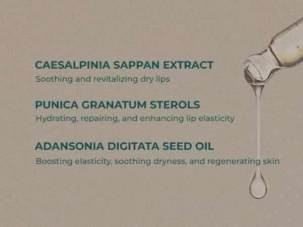 INNA ORGANIC Tinted Lip Serum, Moisturizing, Healing, Light Rosy color, 100% vegan, EWG & COSMOS Certified| Rose Geranium Essential Oils Infused Skincare | Luxury Clean Beauty