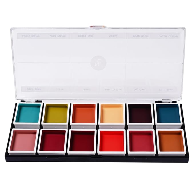 12-Color Complexion Alcohol-Activated Palette, Professional Quick Drying Waterproof SFX Makeup, Tattoo Cover