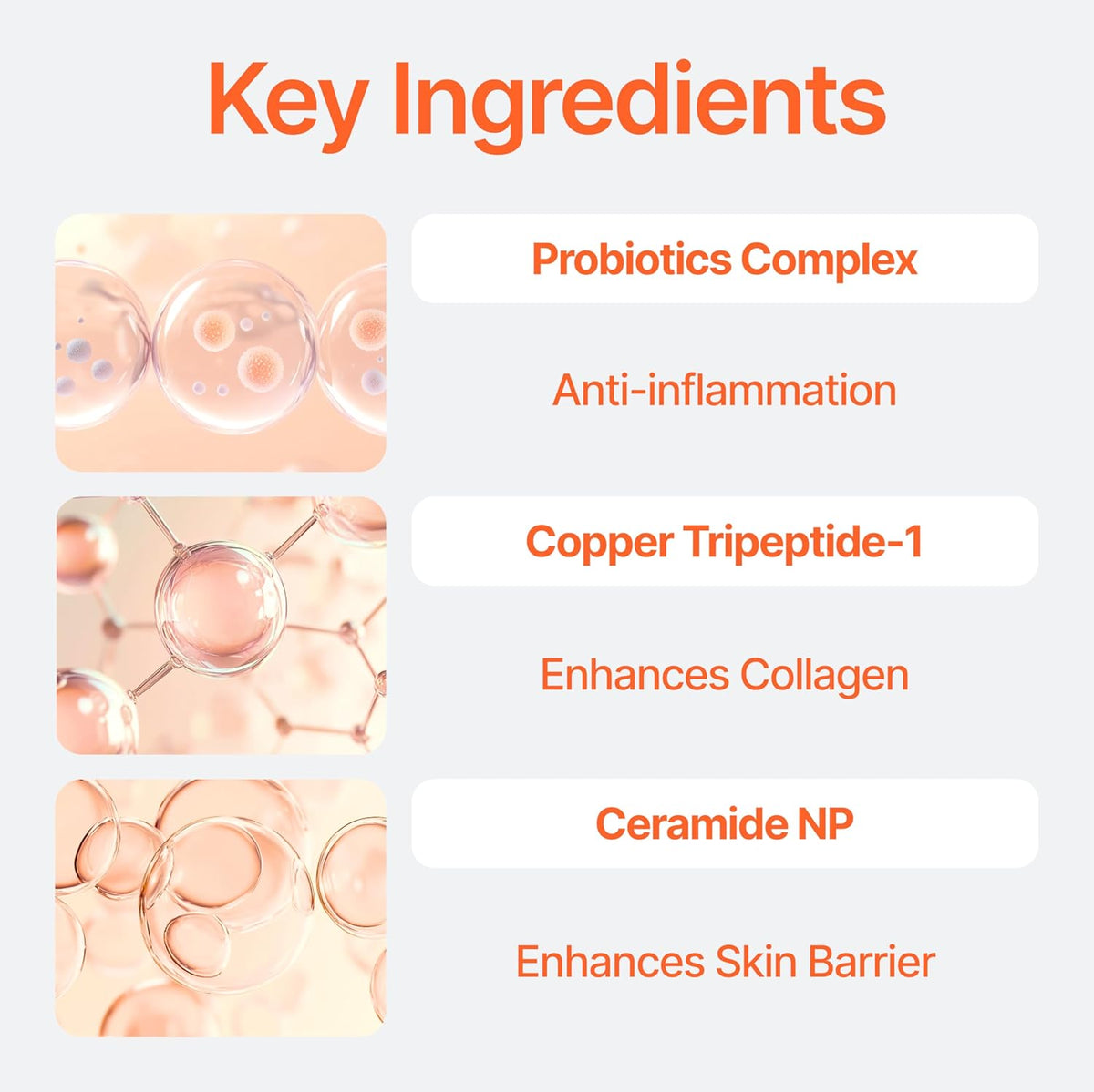 Bifida Barrier Ampoule, CUSKIN, Mild and Moisturizing Korean Skin Care Face Serum Ampoule with Ceramide NP and Hyaluronic Acid for Hydration and Skin Elasticity, 50ml (1.69 Fl. Oz.)