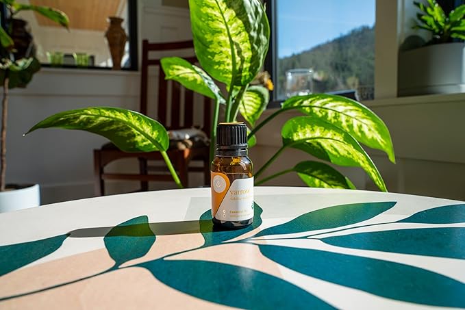 Aromatics International Premium Organic Yarrow Essential Oil 18ml | 100% Pure Essential Oil for Diffusion & Aromatherapy